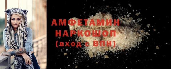 индика Няндома