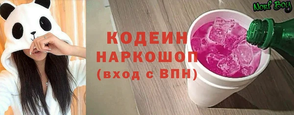 индика Няндома