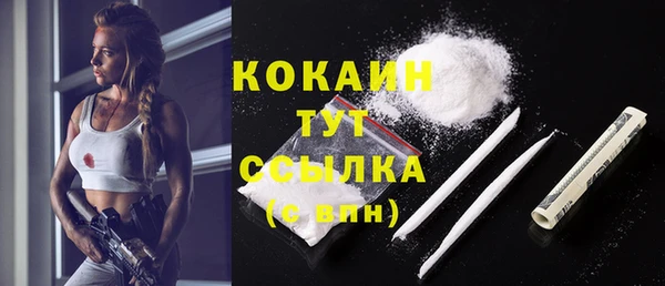индика Няндома