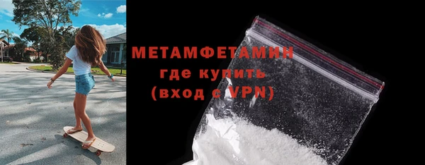 индика Няндома
