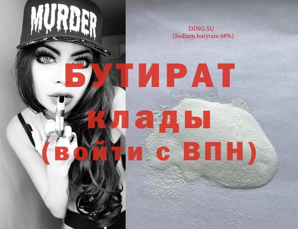 индика Няндома