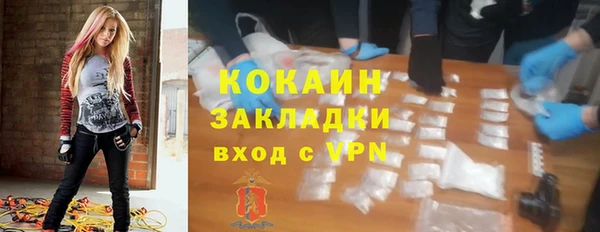 PSILOCYBIN Нязепетровск