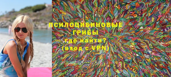 PSILOCYBIN Нязепетровск