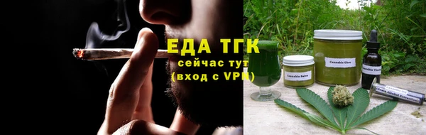 индика Няндома