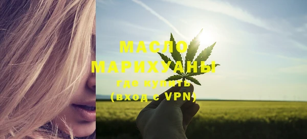 индика Няндома