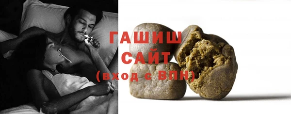 индика Няндома