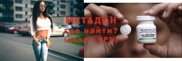 индика Няндома