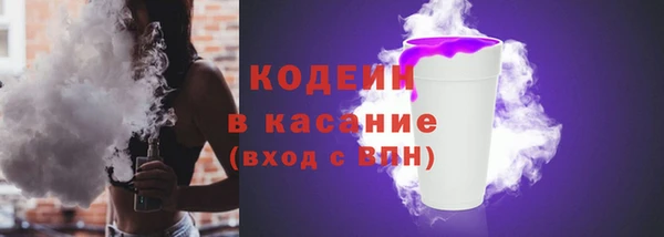индика Няндома