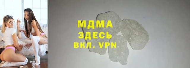 индика Няндома