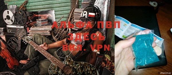 индика Няндома