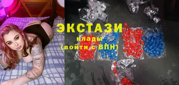 индика Няндома