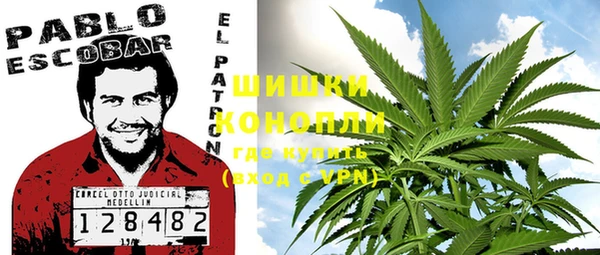 PSILOCYBIN Нязепетровск