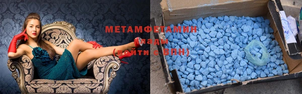 индика Няндома