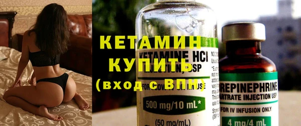 индика Няндома