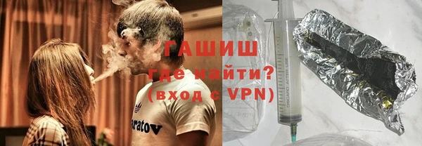 индика Няндома