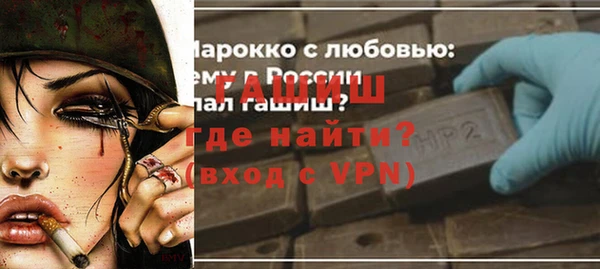 индика Няндома