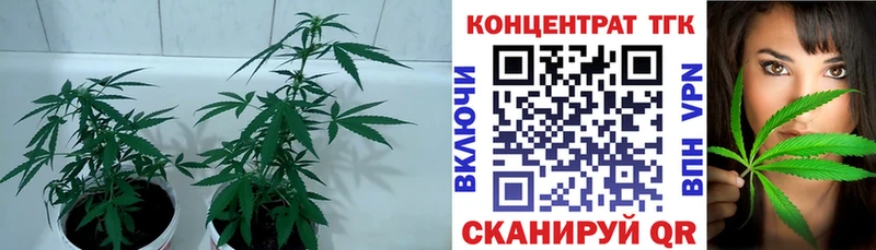 Дистиллят ТГК гашишное масло  Зерноград 