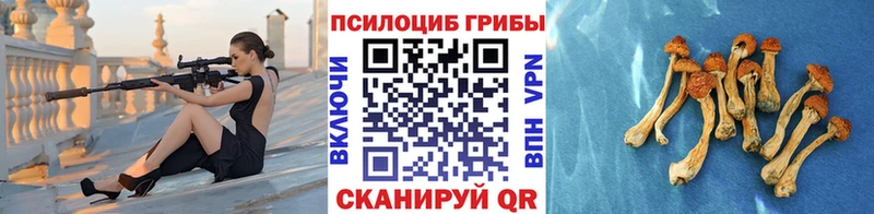 цена наркотик МЕГА ссылка Псилоцибиновые грибы ЛСД Зерноград