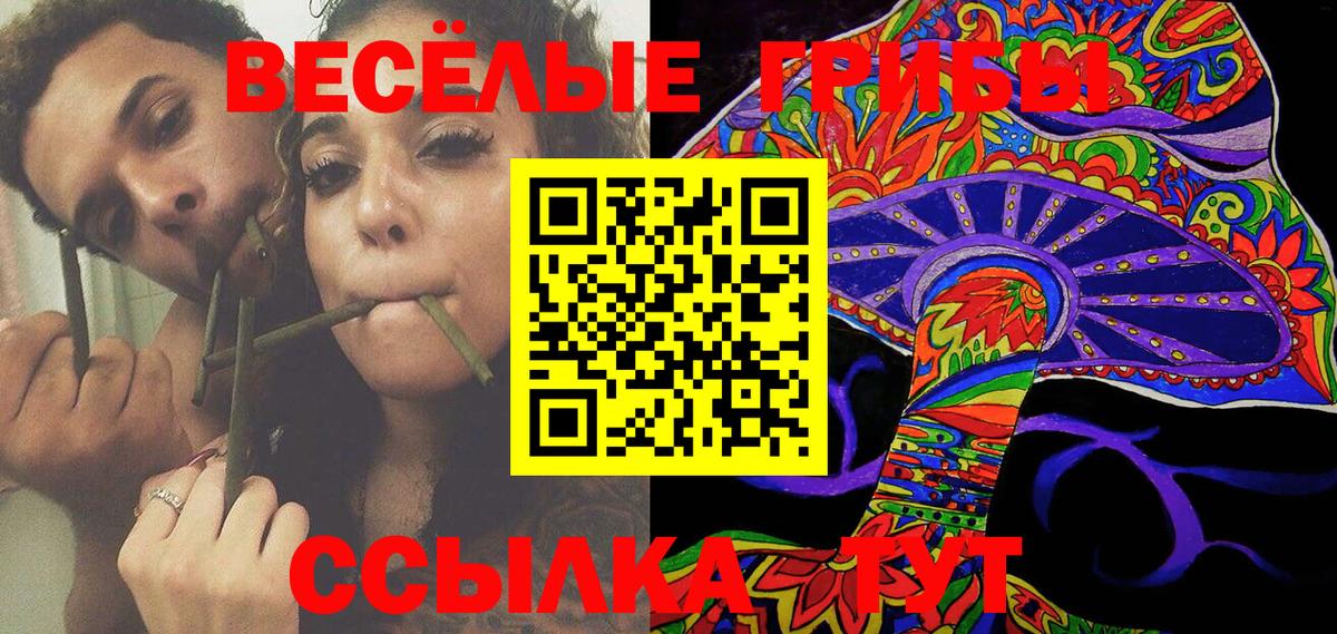 Зерноград  Галлюциногенные грибы Cubensis  Вход с VPN 